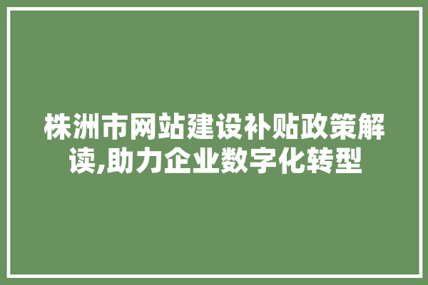 株洲市网站建设补贴政策解读,助力企业数字化转型 绘影字幕