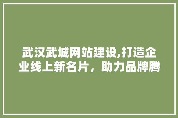 武汉武城网站建设,打造企业线上新名片，助力品牌腾飞