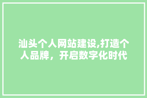 汕头个人网站建设,打造个人品牌，开启数字化时代