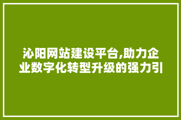 沁阳网站建设平台,助力企业数字化转型升级的强力引擎