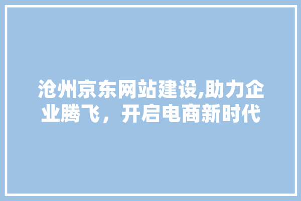 沧州京东网站建设,助力企业腾飞，开启电商新时代