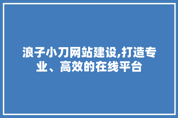 浪子小刀网站建设,打造专业、高效的在线平台