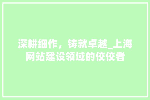 深耕细作，铸就卓越_上海网站建设领域的佼佼者