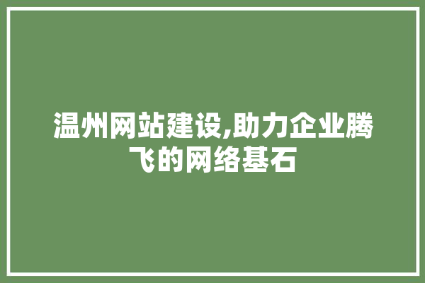 温州网站建设,助力企业腾飞的网络基石