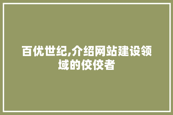 百优世纪,介绍网站建设领域的佼佼者