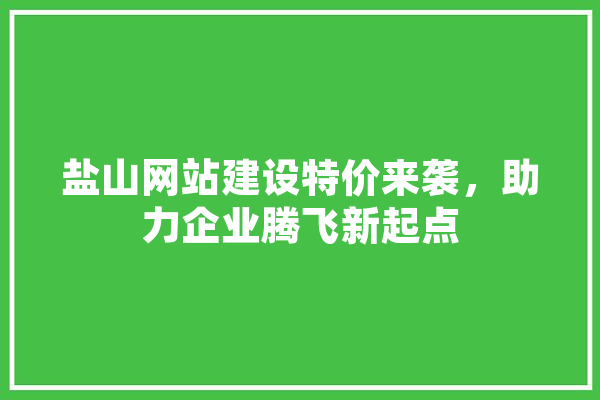 盐山网站建设特价来袭，助力企业腾飞新起点 云服务