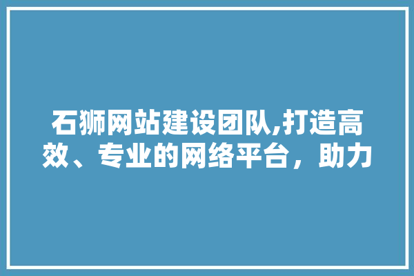 石狮网站建设团队,打造高效、专业的网络平台，助力企业腾飞