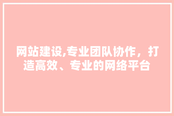 网站建设,专业团队协作，打造高效、专业的网络平台