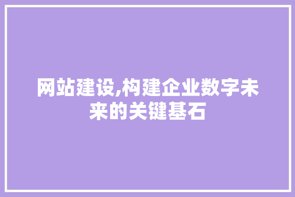网站建设,构建企业数字未来的关键基石