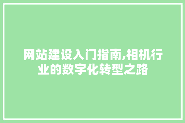 网站建设入门指南,相机行业的数字化转型之路