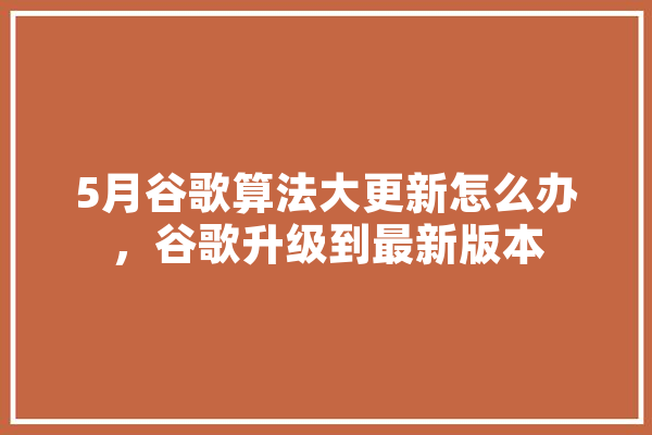 5月谷歌算法大更新怎么办，谷歌升级到最新版本