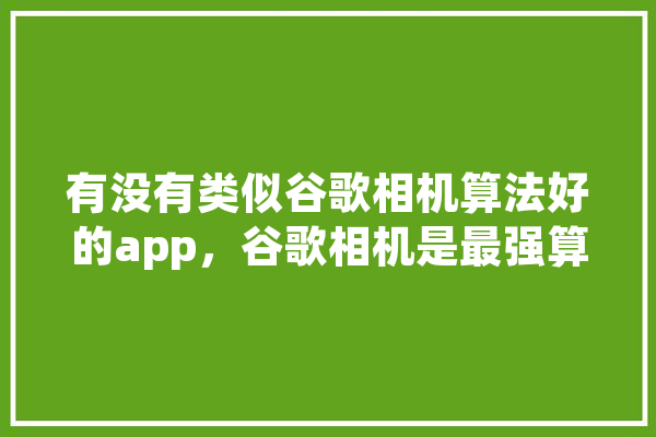 有没有类似谷歌相机算法好的app，谷歌相机是最强算法吗