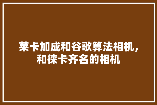莱卡加成和谷歌算法相机，和徕卡齐名的相机 云服务