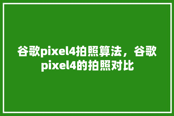 谷歌pixel4拍照算法，谷歌pixel4的拍照对比 计算机