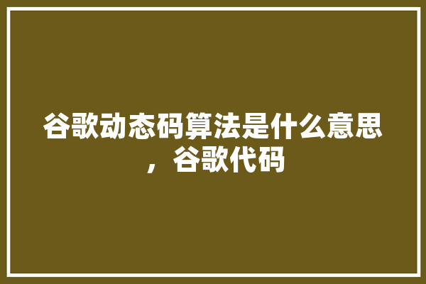 谷歌动态码算法是什么意思，谷歌代码