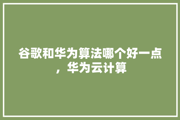 谷歌和华为算法哪个好一点，华为云计算