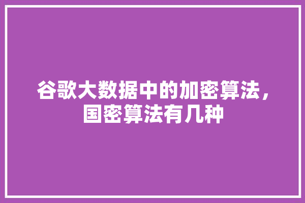 谷歌大数据中的加密算法，国密算法有几种