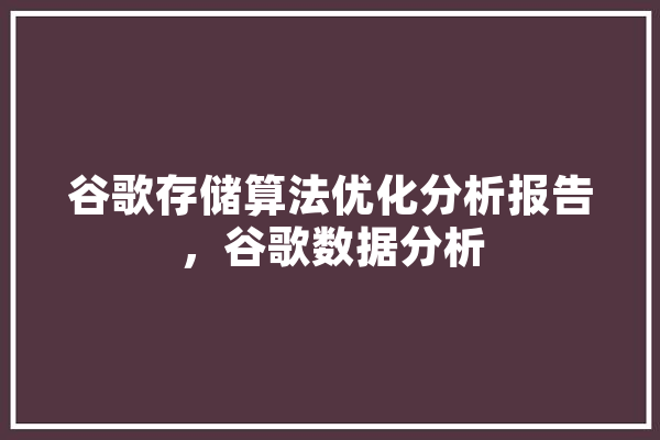 谷歌存储算法优化分析报告，谷歌数据分析