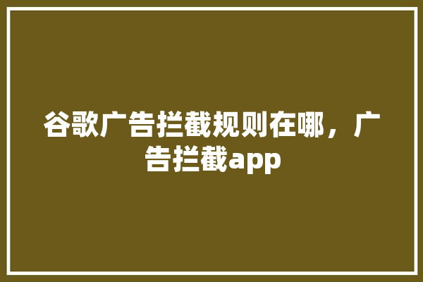 谷歌广告拦截规则在哪，广告拦截app