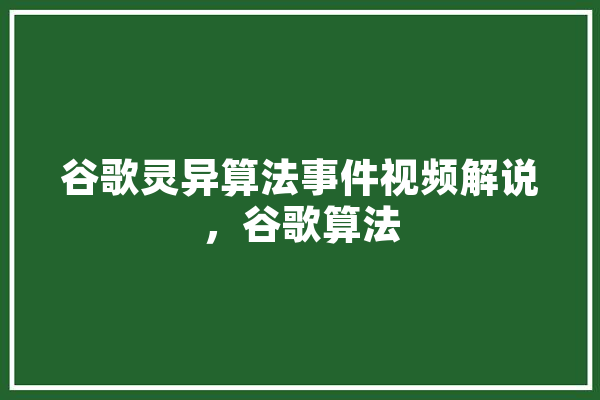 谷歌灵异算法事件视频解说，谷歌算法 智能助手