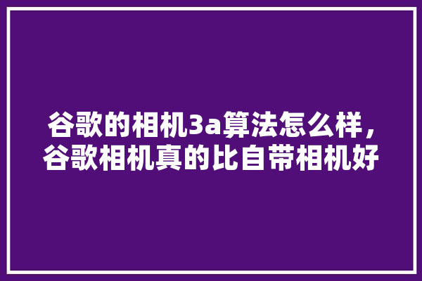 谷歌的相机3a算法怎么样，谷歌相机真的比自带相机好用吗