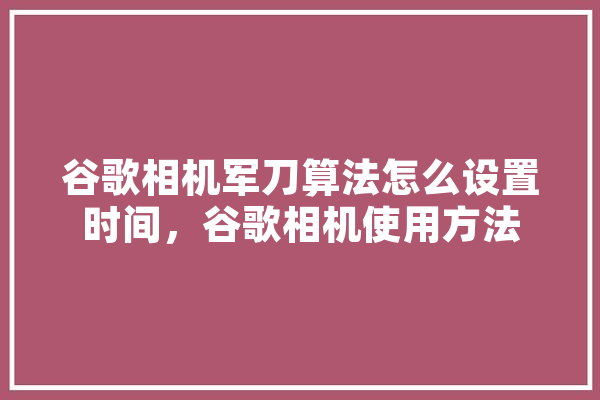 谷歌相机军刀算法怎么设置时间，谷歌相机使用方法