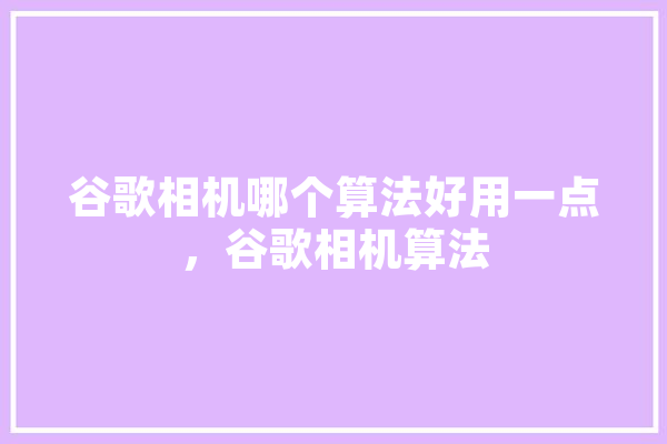 谷歌相机哪个算法好用一点，谷歌相机算法