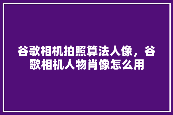 谷歌相机拍照算法人像，谷歌相机人物肖像怎么用