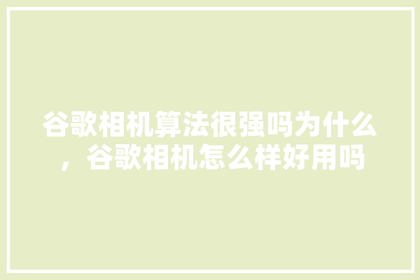 谷歌相机算法很强吗为什么，谷歌相机怎么样好用吗