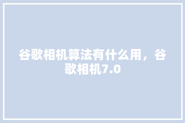 谷歌相机算法有什么用，谷歌相机7.0