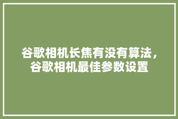 谷歌相机长焦有没有算法，谷歌相机最佳参数设置