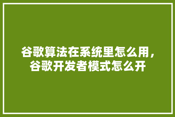 谷歌算法在系统里怎么用，谷歌开发者模式怎么开