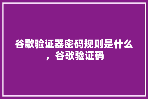 谷歌验证器密码规则是什么，谷歌验证码