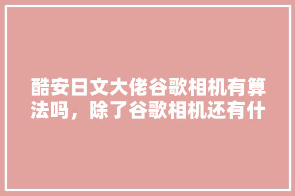 酷安日文大佬谷歌相机有算法吗，除了谷歌相机还有什么相机比较好