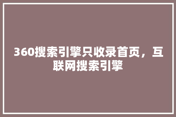 360搜索引擎只收录首页，互联网搜索引擎
