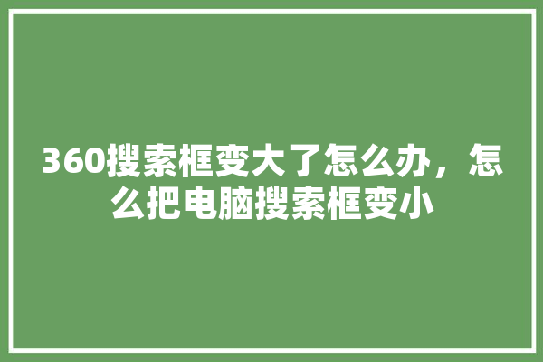 360搜索框变大了怎么办，怎么把电脑搜索框变小 绘影字幕
