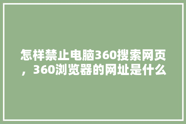 怎样禁止电脑360搜索网页，360浏览器的网址是什么