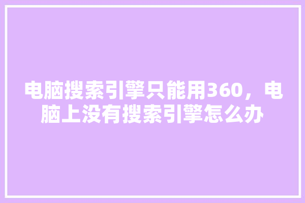 电脑搜索引擎只能用360，电脑上没有搜索引擎怎么办