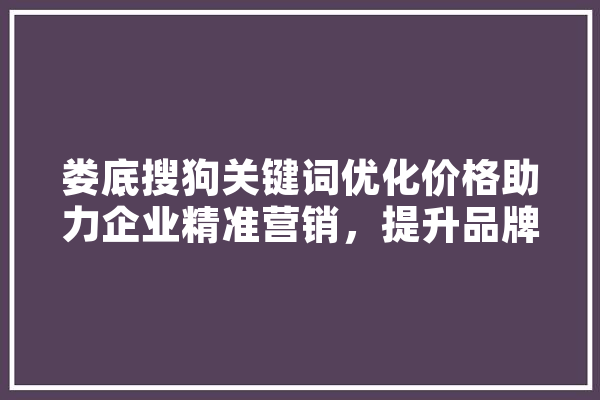 娄底搜狗关键词优化价格助力企业精准营销，提升品牌影响力