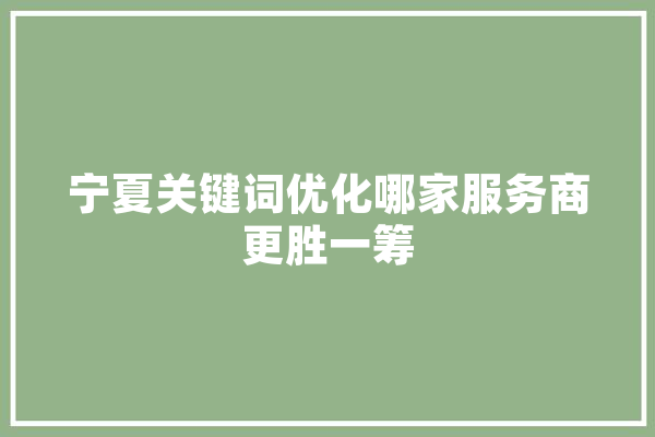 宁夏关键词优化哪家服务商更胜一筹