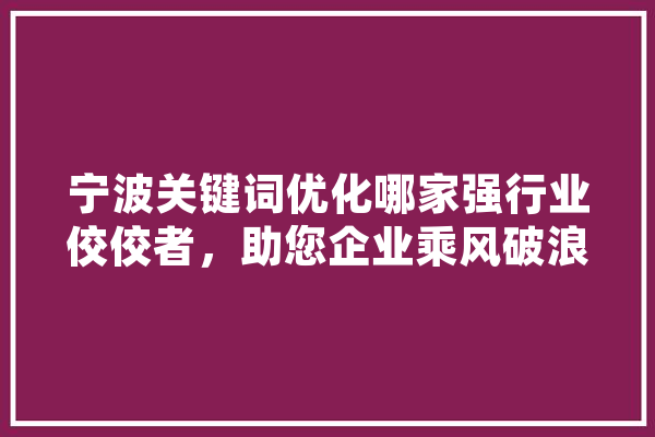 宁波关键词优化哪家强行业佼佼者，助您企业乘风破浪