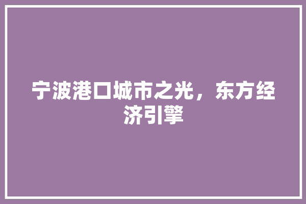 宁波港口城市之光，东方经济引擎 绘影字幕