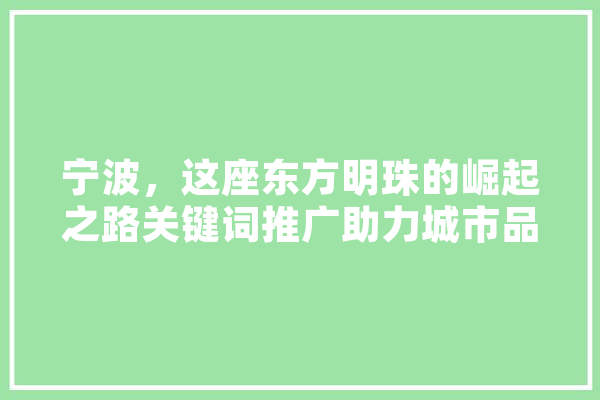 宁波，这座东方明珠的崛起之路关键词推广助力城市品牌建设