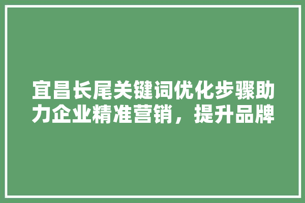 宜昌长尾关键词优化步骤助力企业精准营销，提升品牌影响力 AI简讯