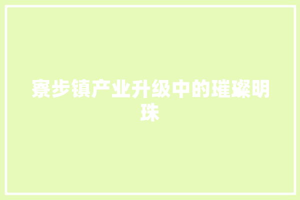 寮步镇产业升级中的璀璨明珠