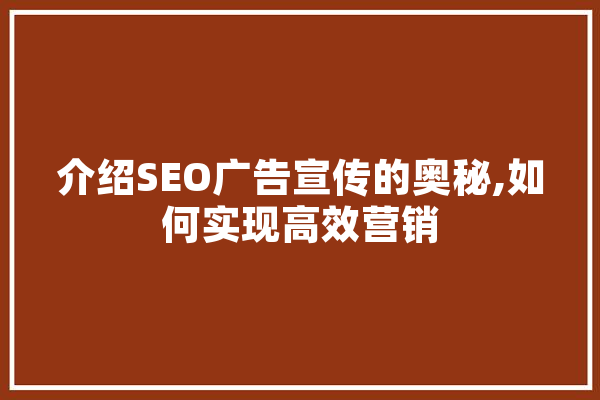 介绍SEO广告宣传的奥秘,如何实现高效营销