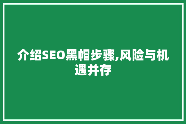 介绍SEO黑帽步骤,风险与机遇并存