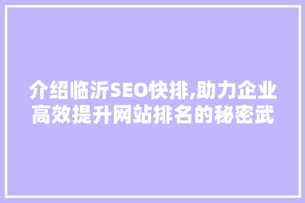 介绍临沂SEO快排,助力企业高效提升网站排名的秘密武器