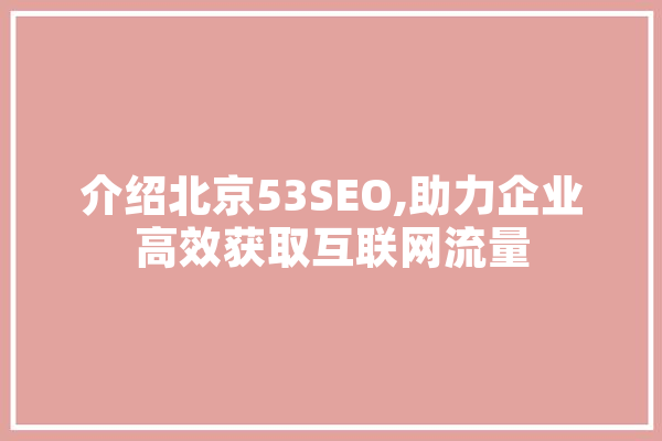 介绍北京53SEO,助力企业高效获取互联网流量
