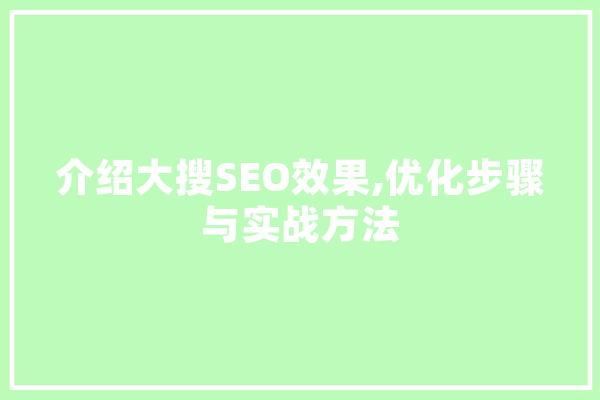 介绍大搜SEO效果,优化步骤与实战方法